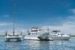 How Much It Is To Charter Boat And Yacht In Bali 2026?