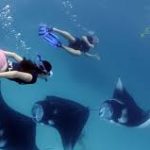 Nusa Penida boat charter-Bali Tour