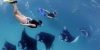 The Qualified 4 Spots Snorkeling Nusa Penida Tour -Balitour