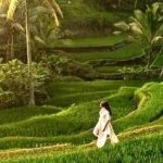 The Best 12 Of Bali Tour Service With Price (33$) 2025