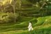 Bali Tour Application 2026-Official BTD Google Play-Balitour Direkt