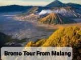 mount Bromo Tour from Malang-The Best Service & book now 2025
