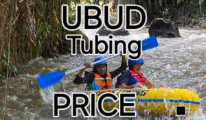 Ubud Tubing Price: Best Deals, Cave & River Tours 2026     