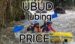 Ubud Tubing Price: Best Deals, Cave & River Tours 2026