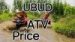 Ubud ATV Price 2026: Single & Tandem Quad Bike Cost & Deals