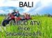 Ubud ATV Price(600k)-Bali Quad Bike Ride 2026