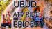 Safest Ubud ATV Price (600k)-Bali ATV-Balitour Direkt