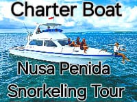 Nusa Penida Charter Boat Price Guide 2026 - Bali Tour Direkt   